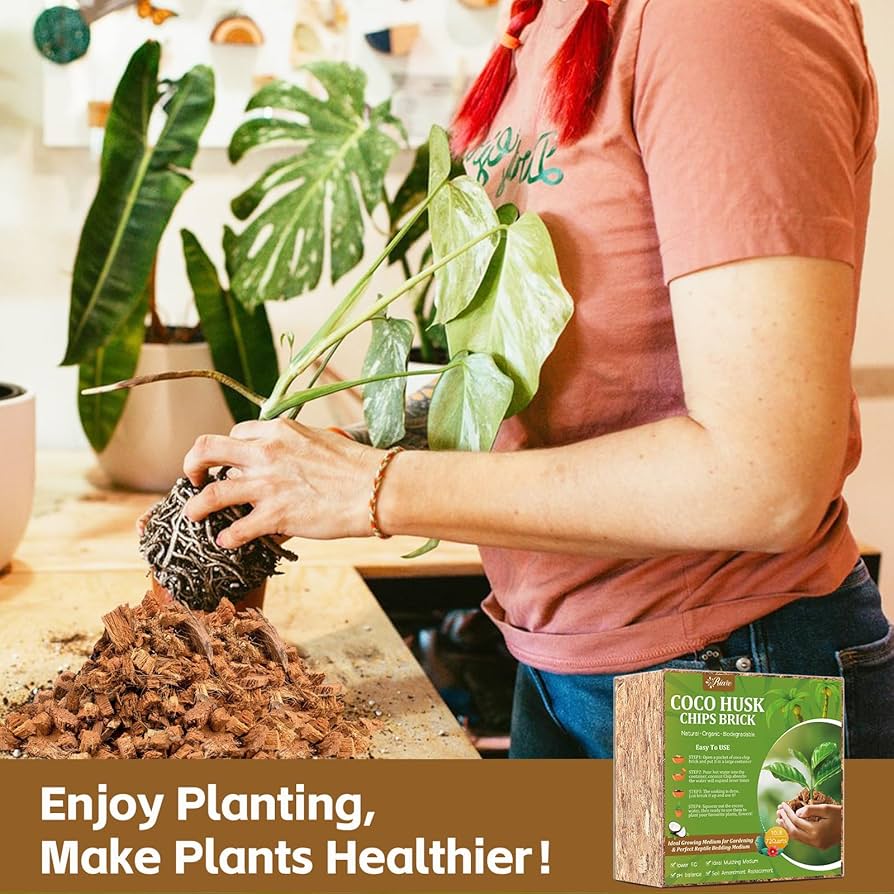 Amazon.com : Riare 10LBS Coco Chips Substrate for Plants